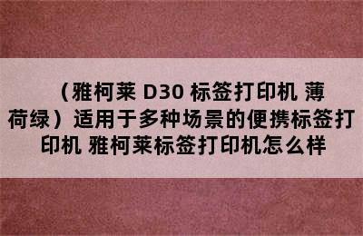 （雅柯莱 D30 标签打印机 薄荷绿）适用于多种场景的便携标签打印机 雅柯莱标签打印机怎么样